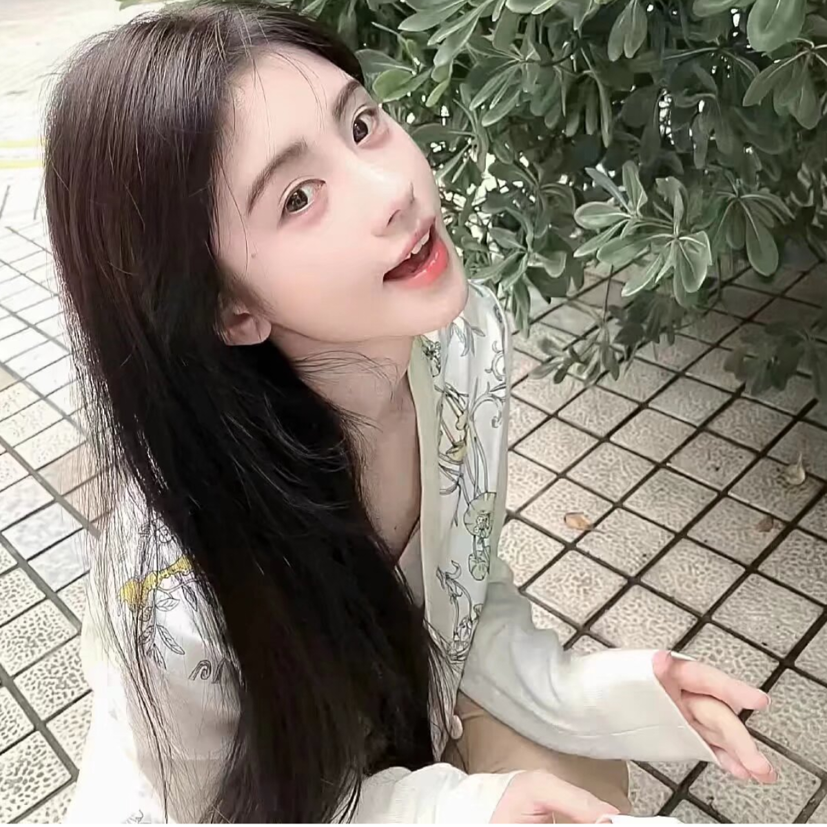 陆月