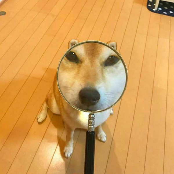新时代碌碌无为少年