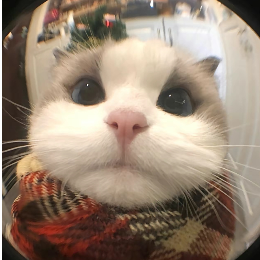 脆皮烤鸭
