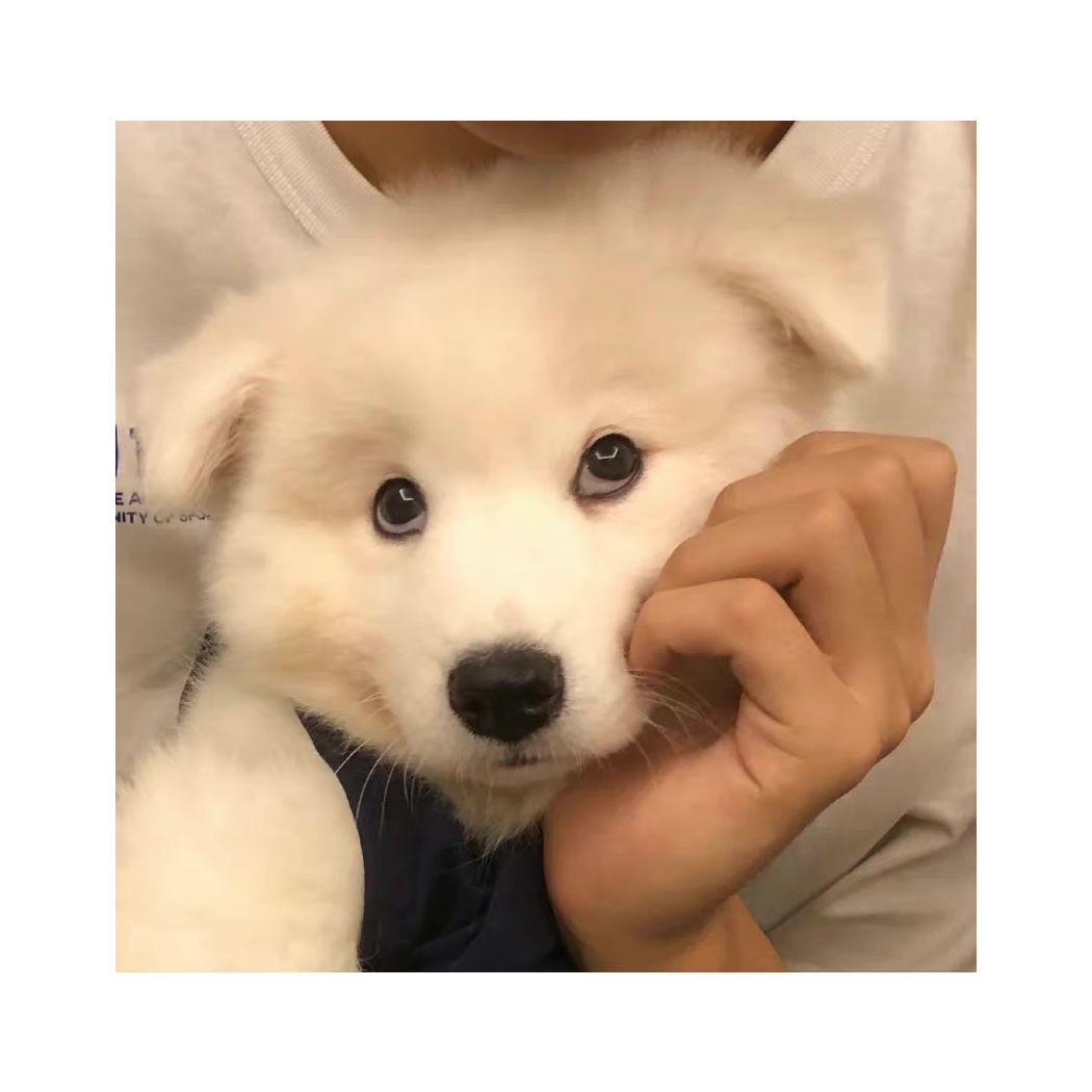 吴吴