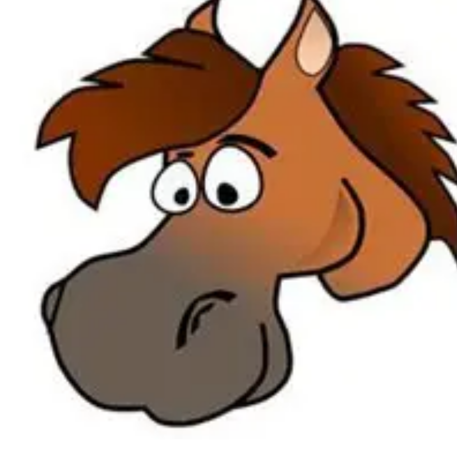 小马哥🐴