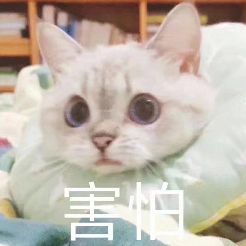 曲霉奇