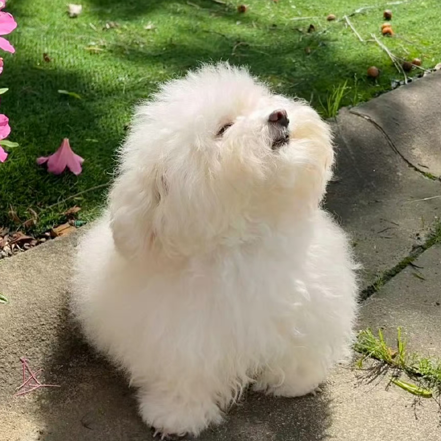 ☁️云