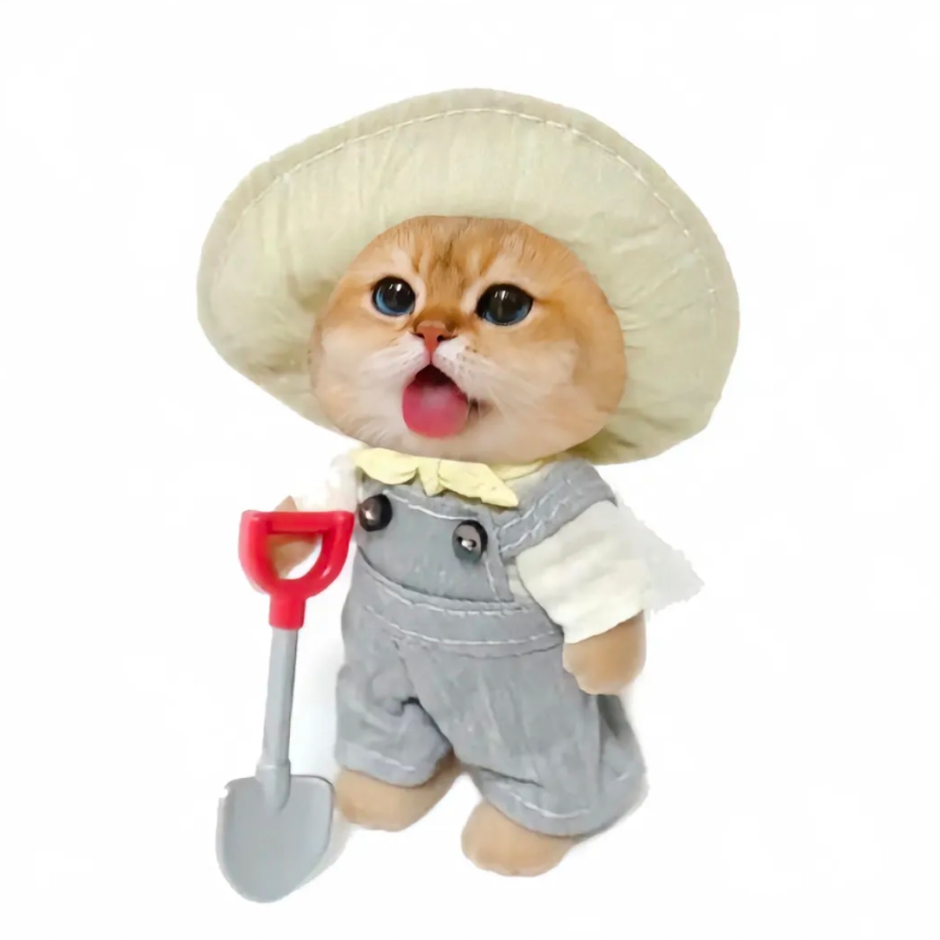 菜猜猜