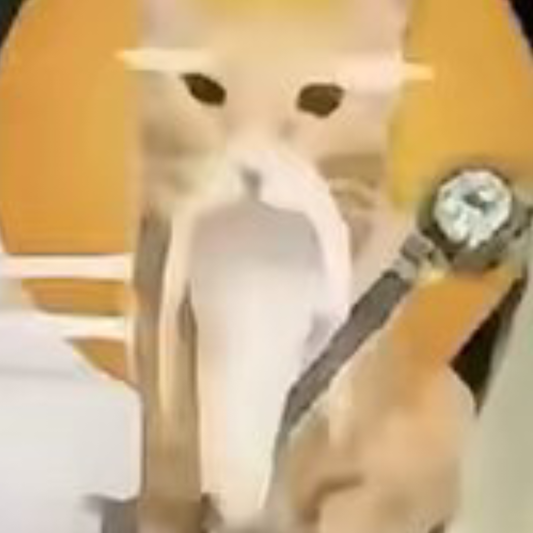 妩媚大主播