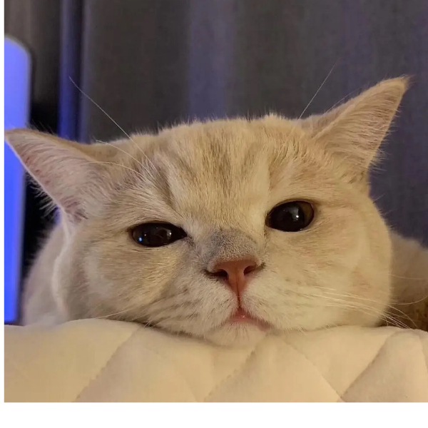 落尘