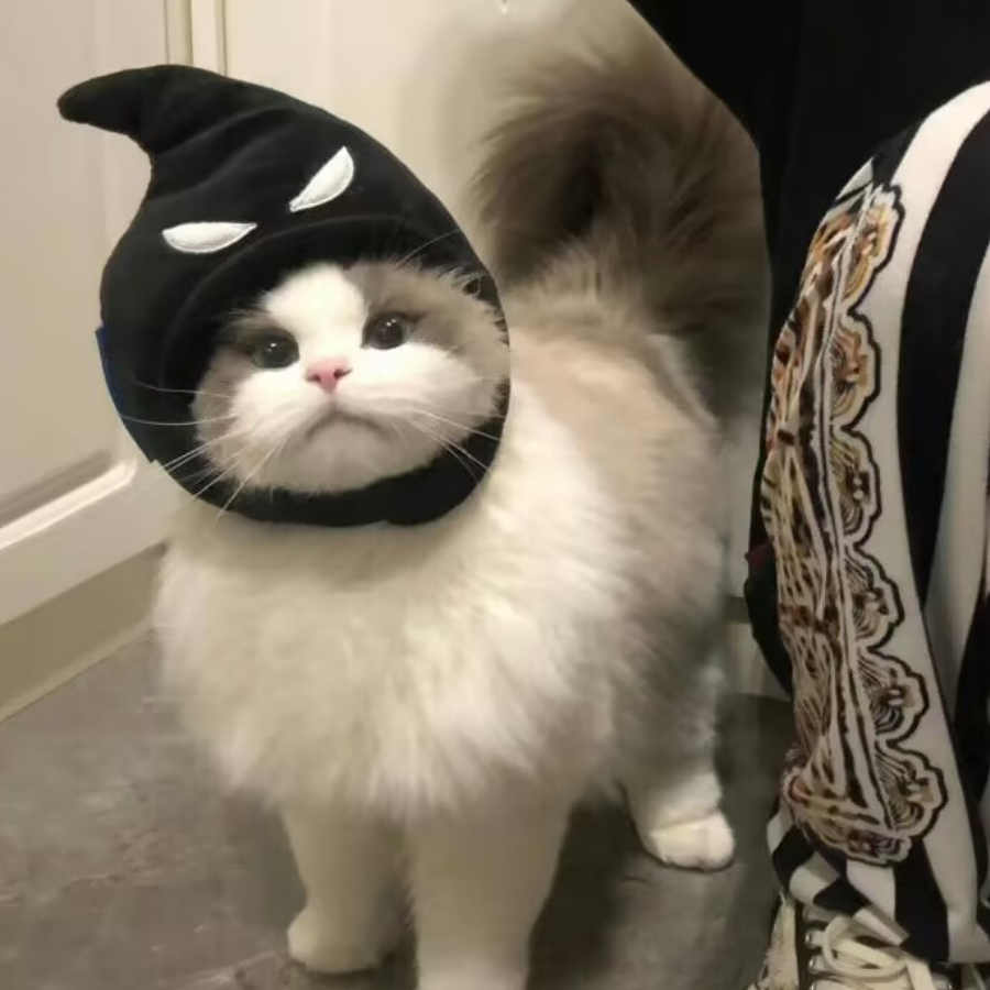 选择恐惧症