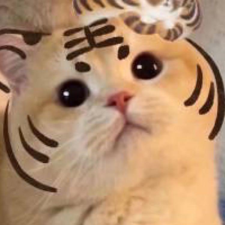 科目二最强考生