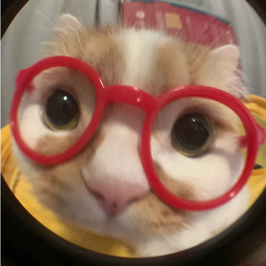 松羲