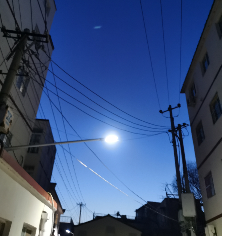 米乐鲨