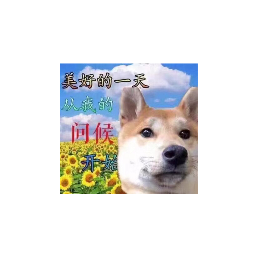 左元放