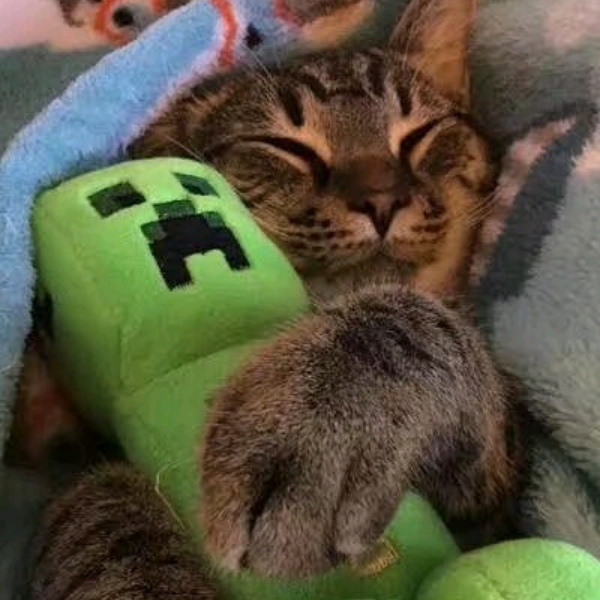 MOKKO