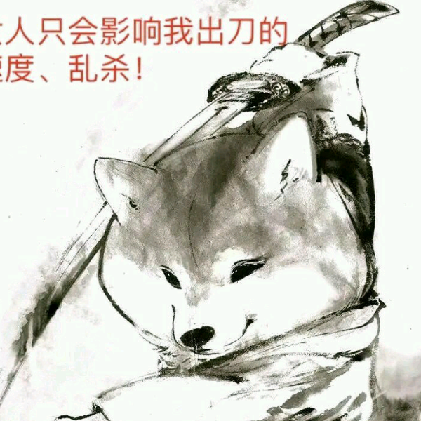 松哥有根葱