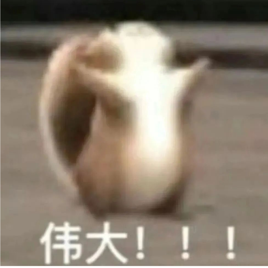 梓文.