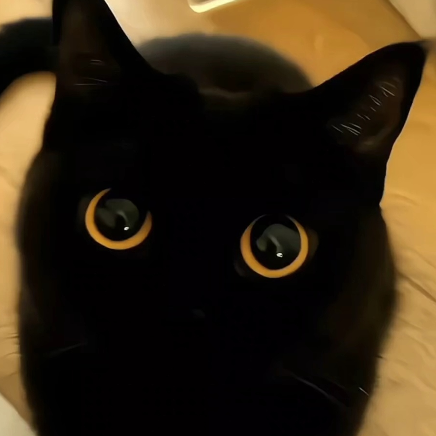 偷星去喂猫