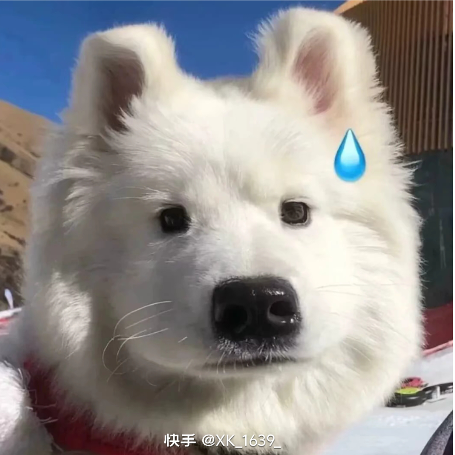 @伴星河
