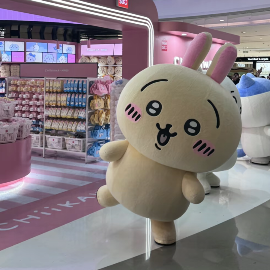 黑鸭骑士