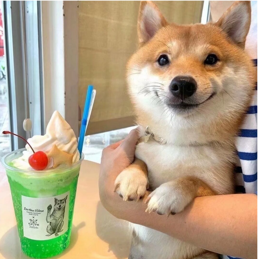 肆无忌惮小听风