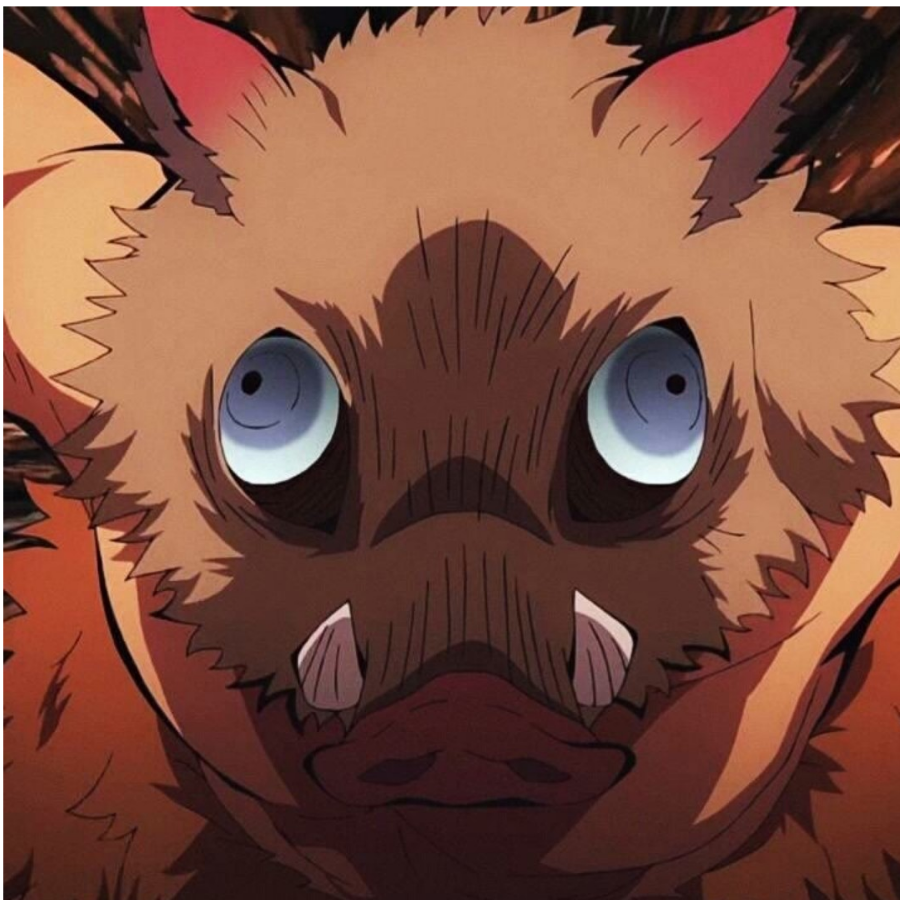 猛猪突袭