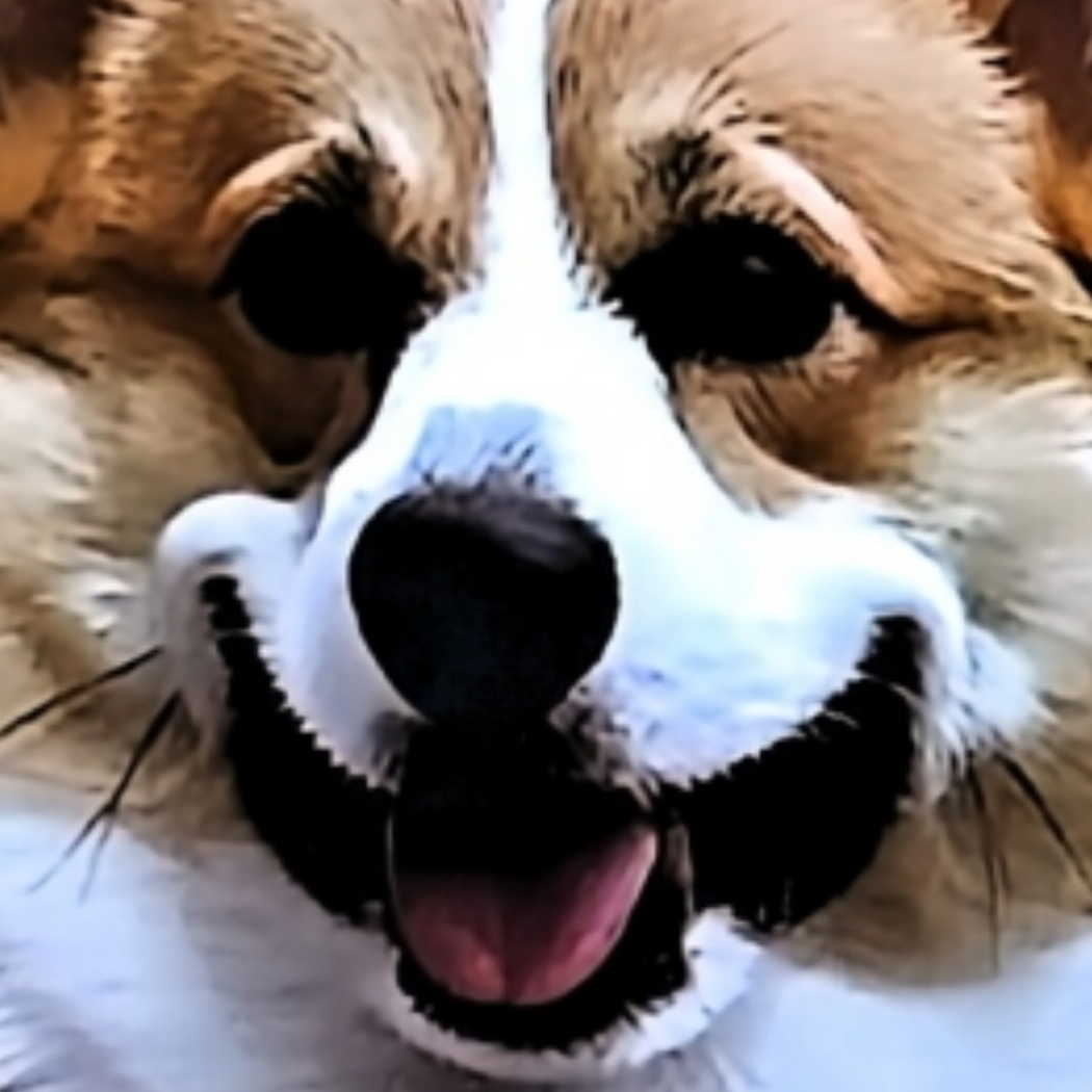 哈哈哈