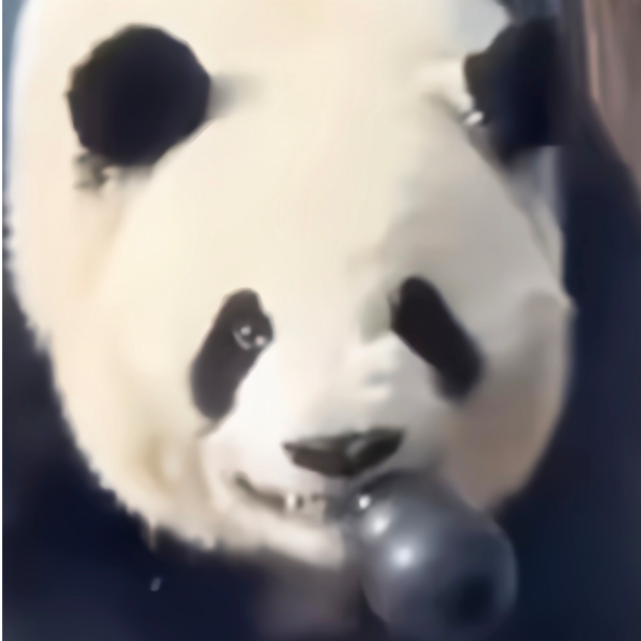 沉睡的应龙