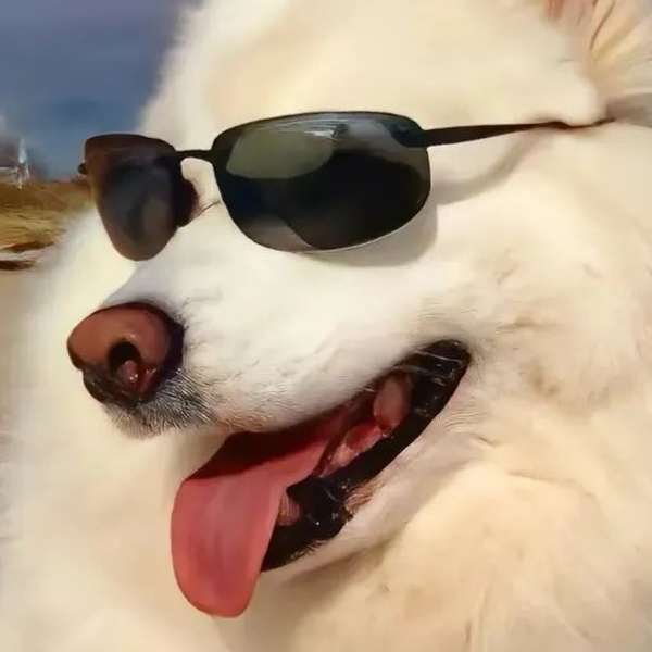 壁