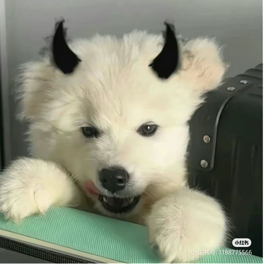 月秋