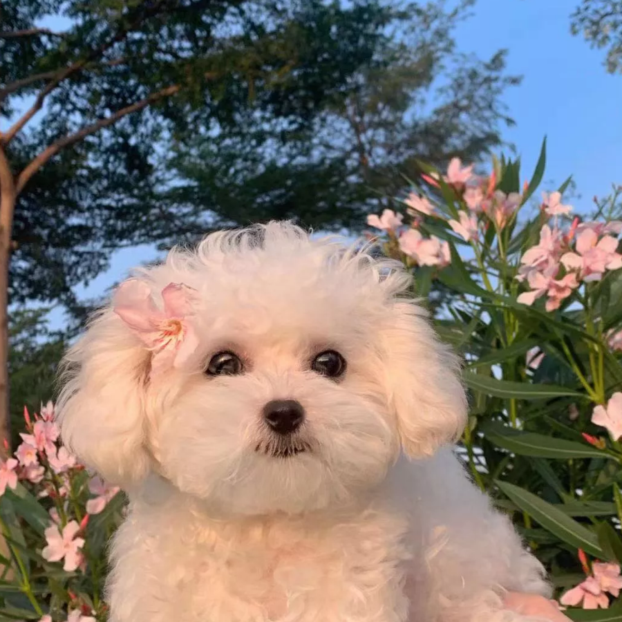 祠祠不爱打游戏.