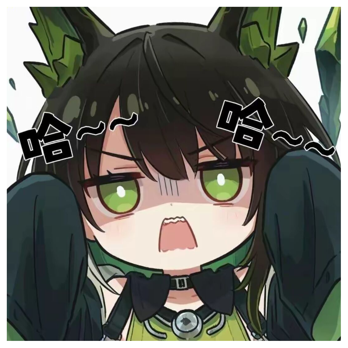 猫猫凯尔希