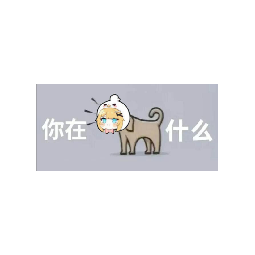 柴柴同学