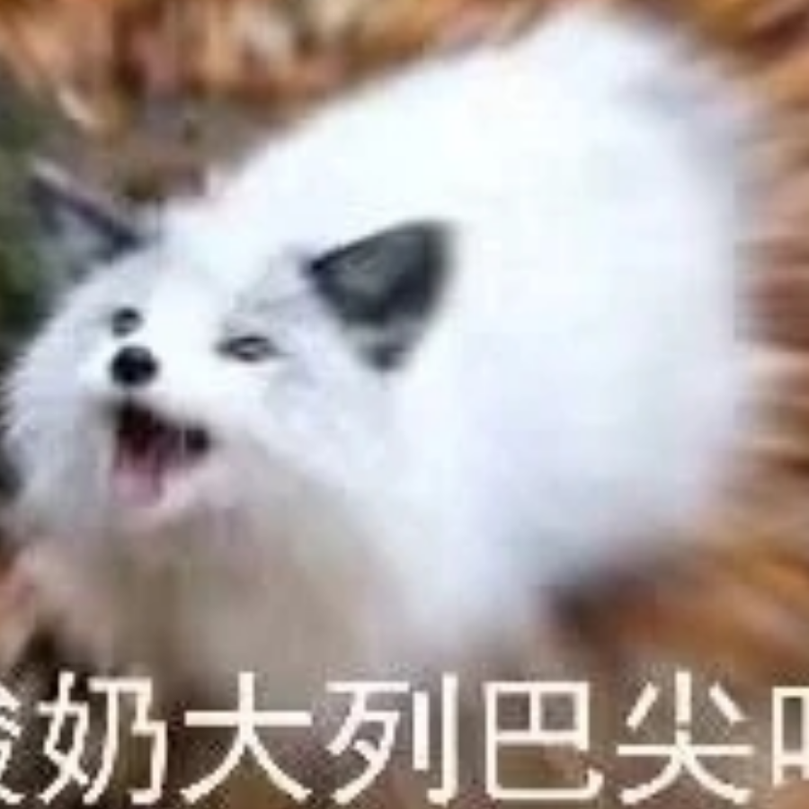 无糖全麦面包
