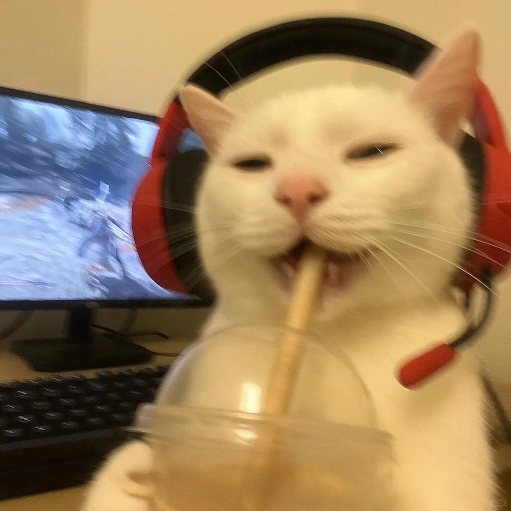 早睡