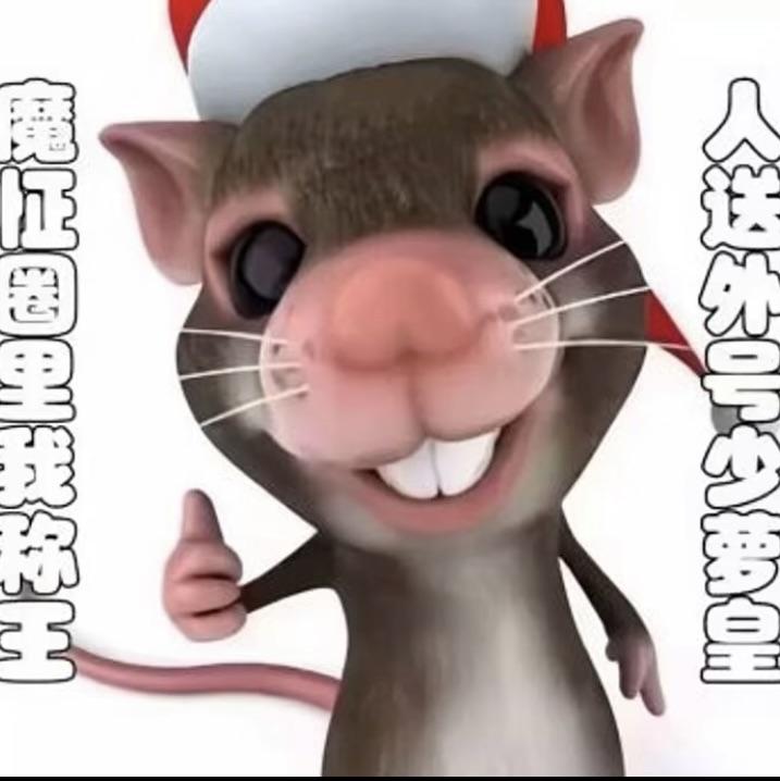 梦