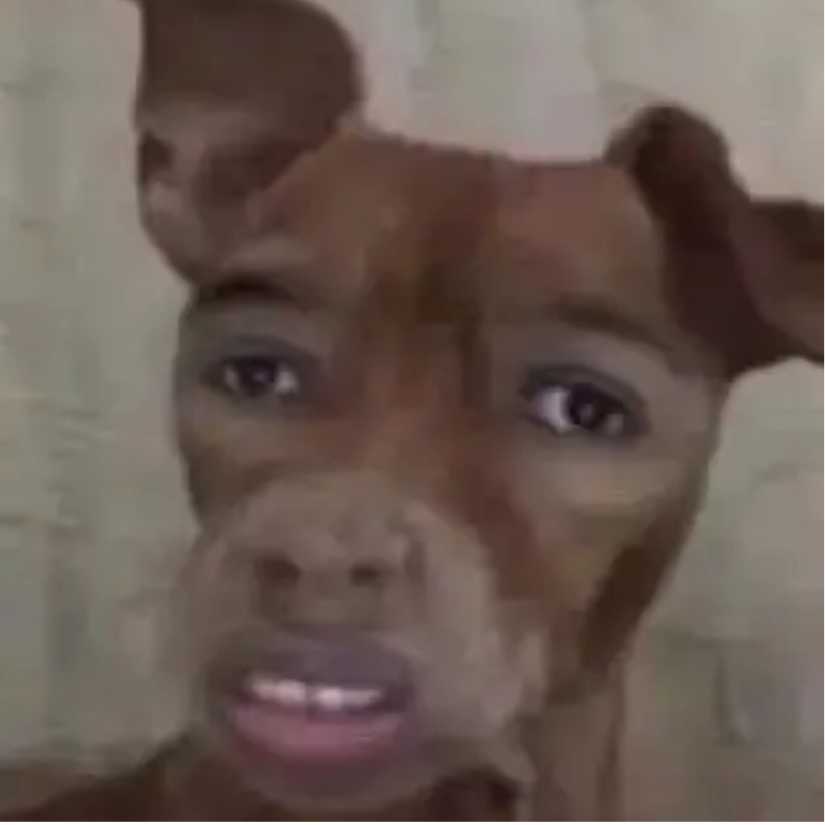 𓂺