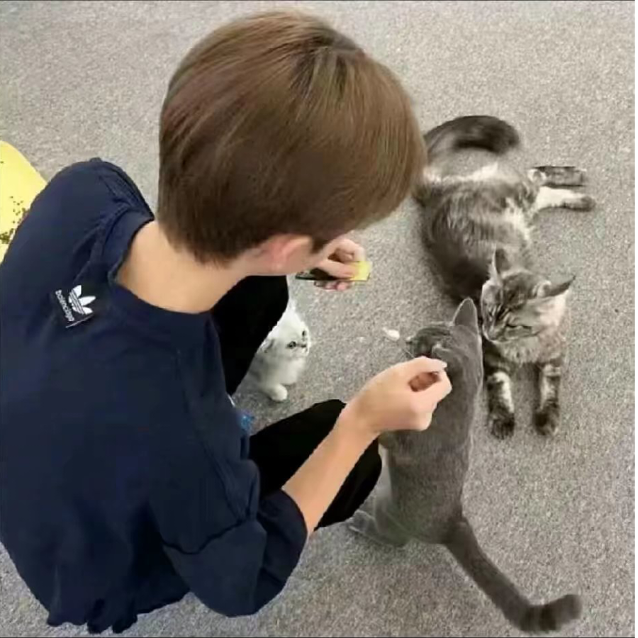 婉拒