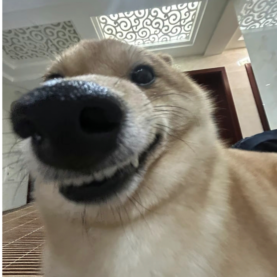 星北