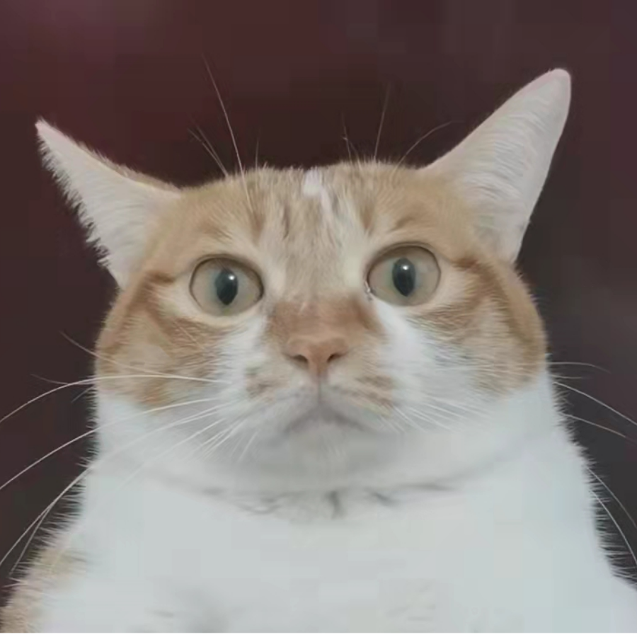 墨末
