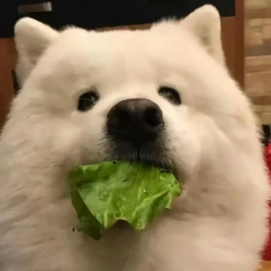 烟花