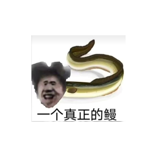 爱坤