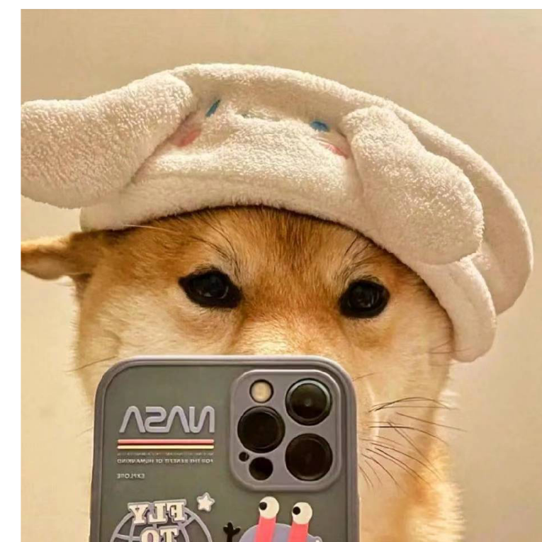 呜呼～