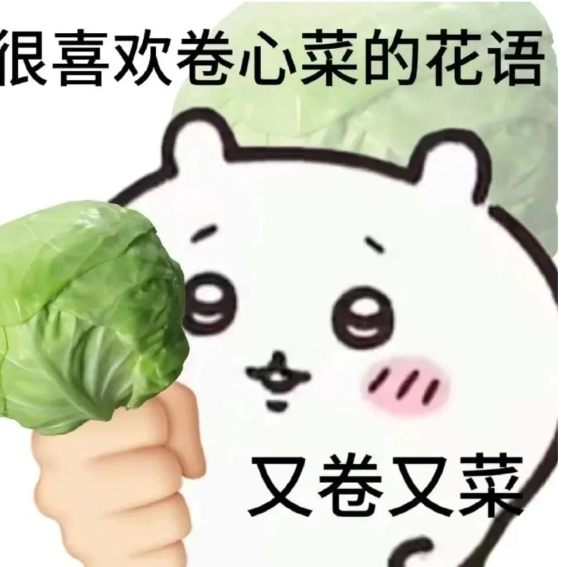 卷心菜