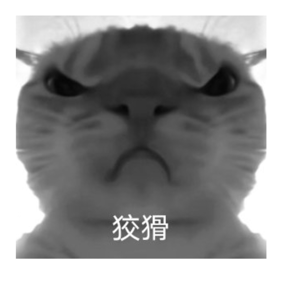 狡猾的鼠鼠