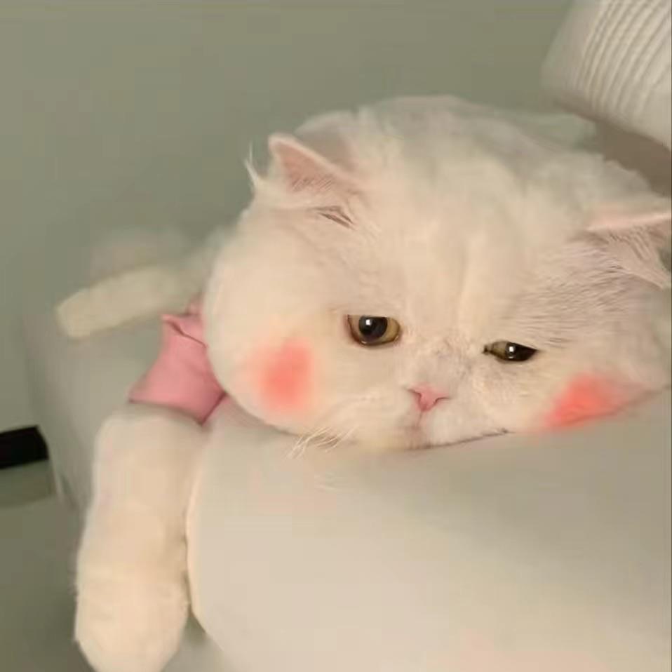 安禹