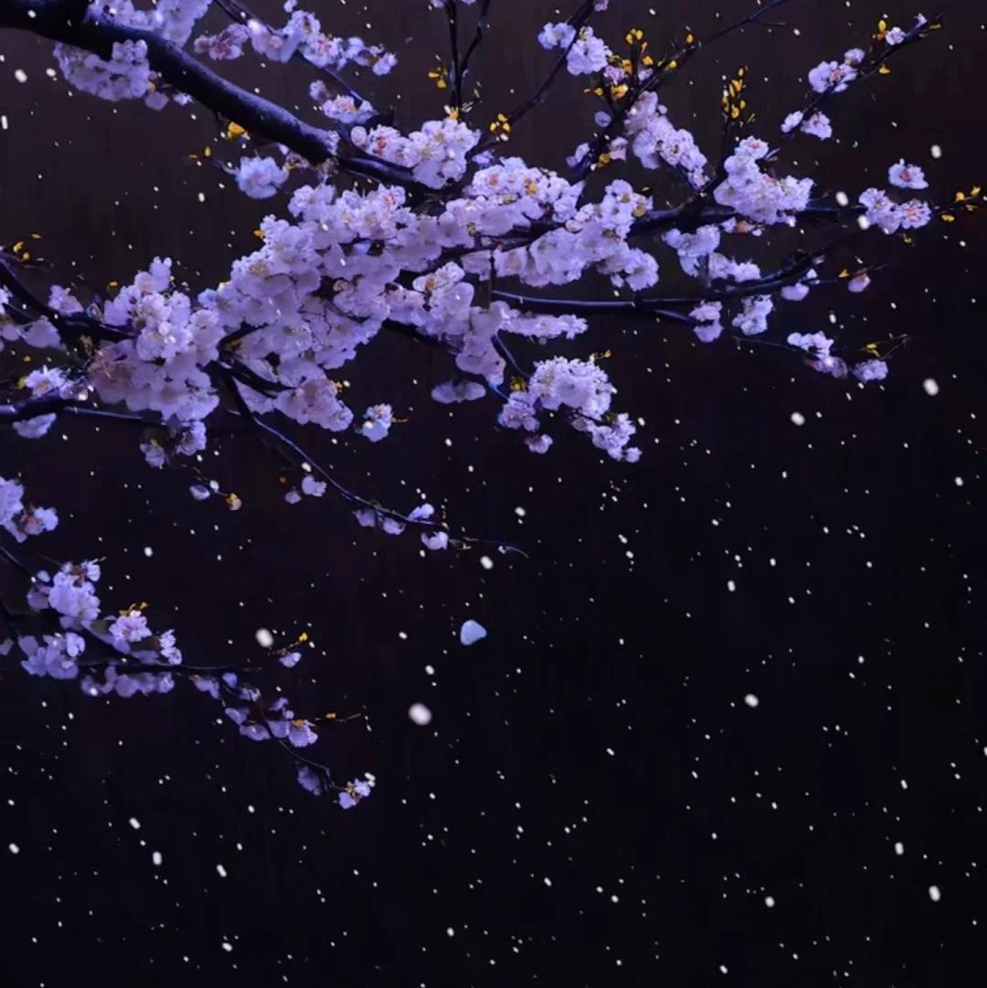 🎶落雨🎵