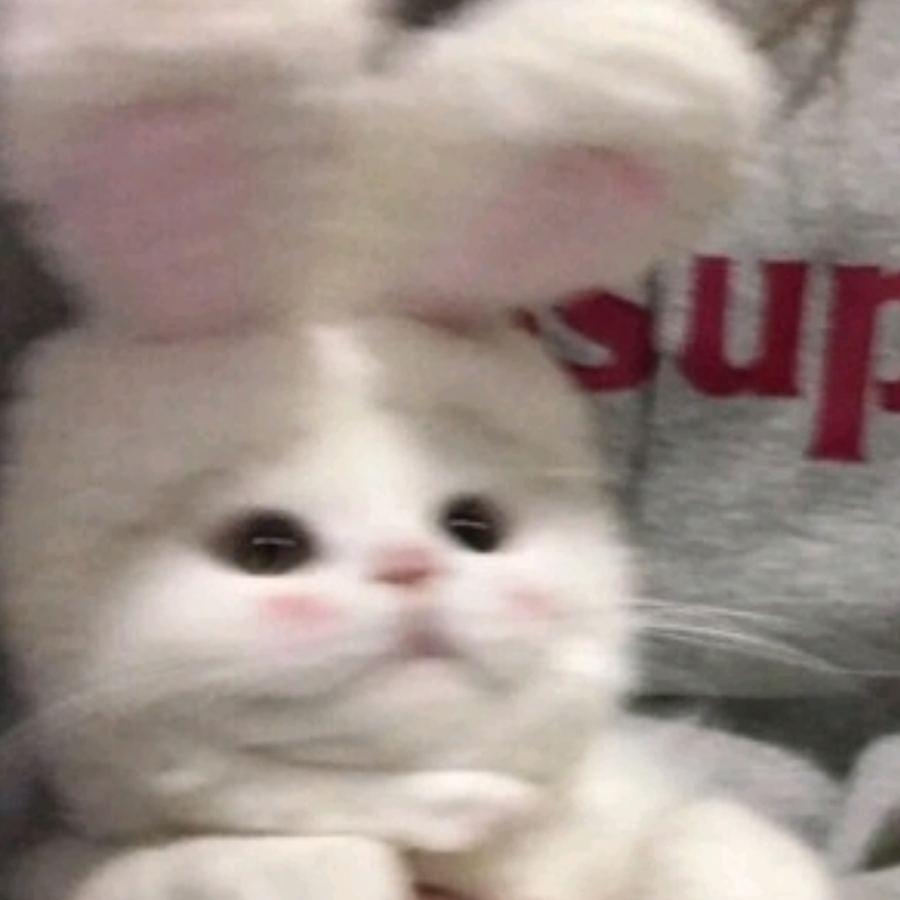 柚子