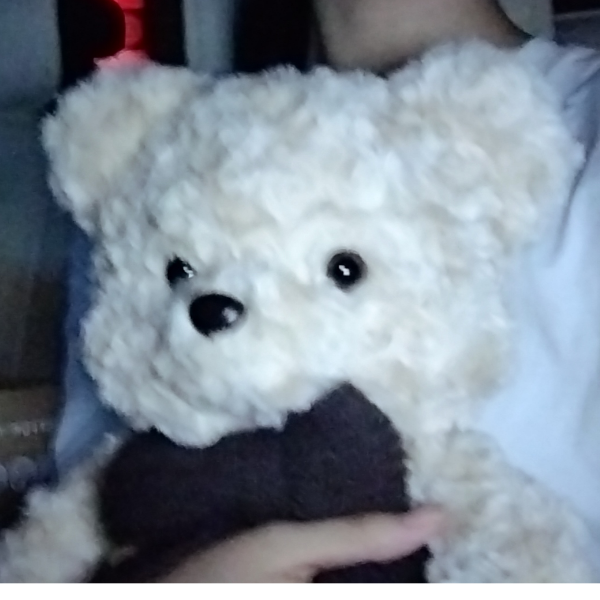 保护我的尾椎骨