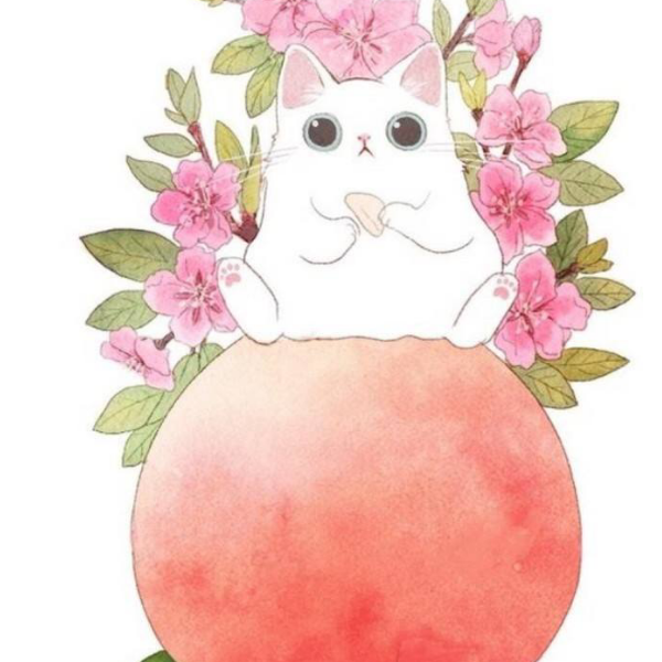 慕七君