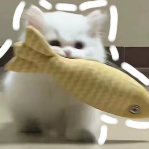 初遇