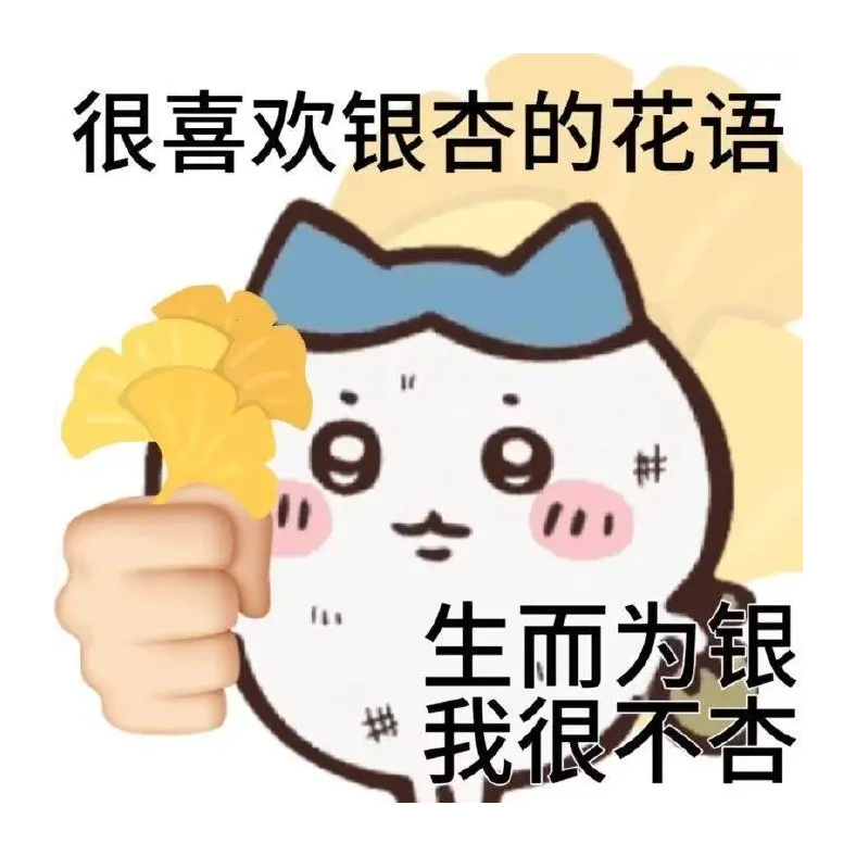 坛月而已