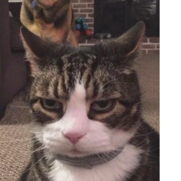 ，，